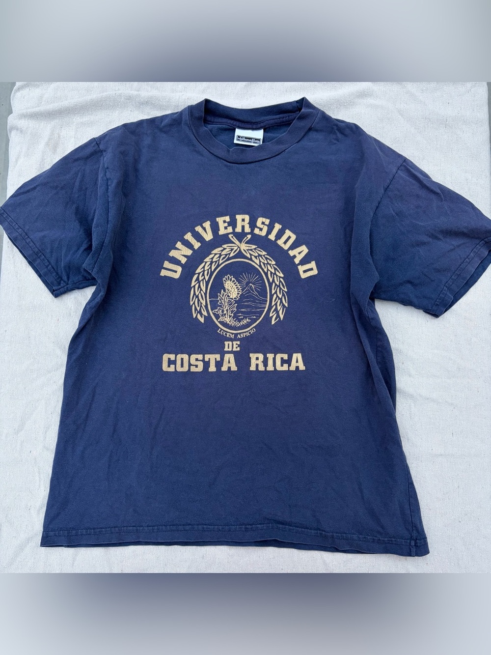 Xhilaration Y2K Universidad de Costa Rica Navy Graphic Tee, Grunge Streetwear